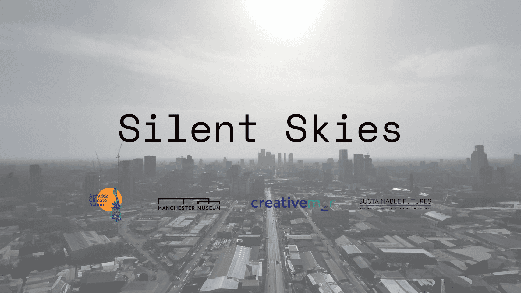 Silent Skies