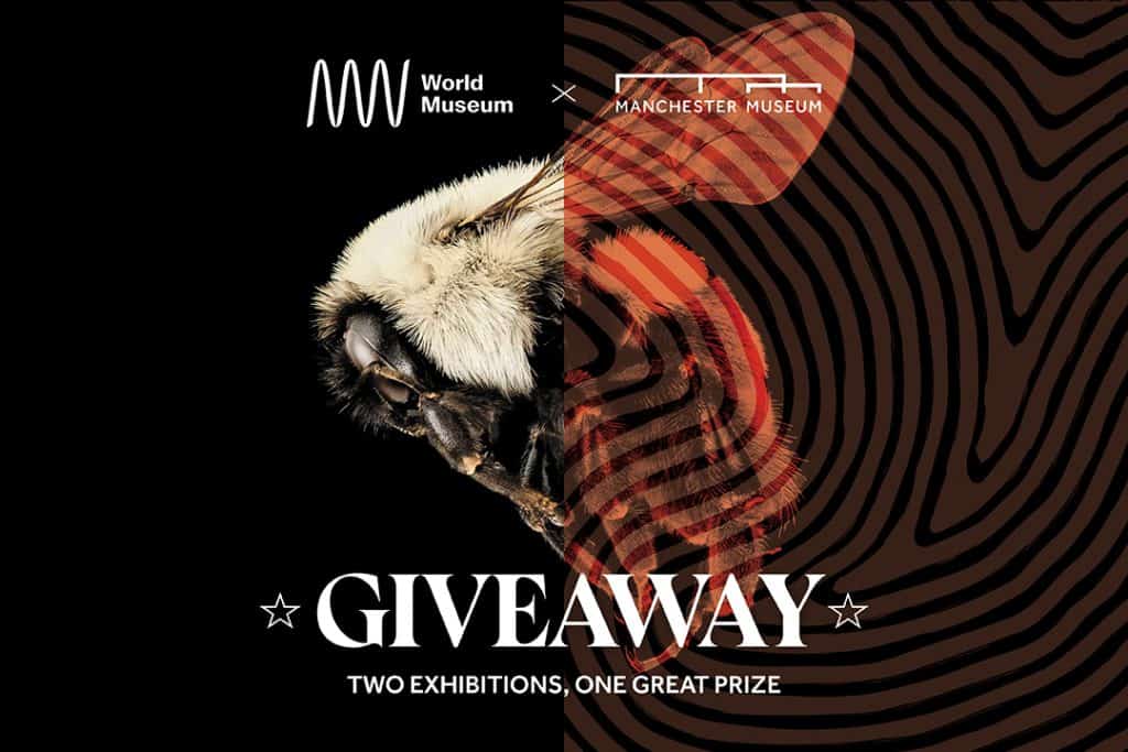 GIVEAWAY. Two exhibitions, one great prize.