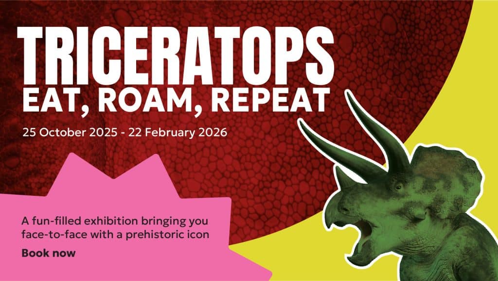 Triceratops Eat, Roam, Repeat